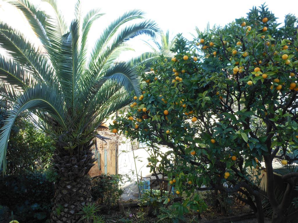 Hotel Villa Les Cygnes Nice Bagian luar foto